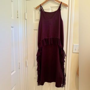 Elizabeth and James Size 10 Maroon Dress